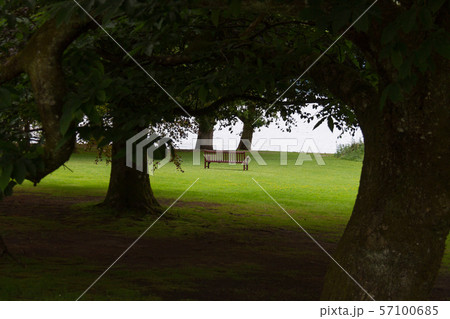 Scenic view of bench and lake via tree branches in Loch Lomond, Scotland Scenic view of bench and lake via tree branches in Loch Lomond, Scotland 57100685