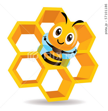 Cartoon cute bee stay inside the honey cell. 3D honey cells. Honeycomb vector illustration isolated Cartoon cute bee stay inside the honey cell. 3D honey cells. Honeycomb vector illustration isolated 57101186