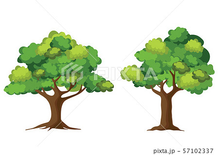 Tree collection isolated on white background. Cartoon of trees. 57102337