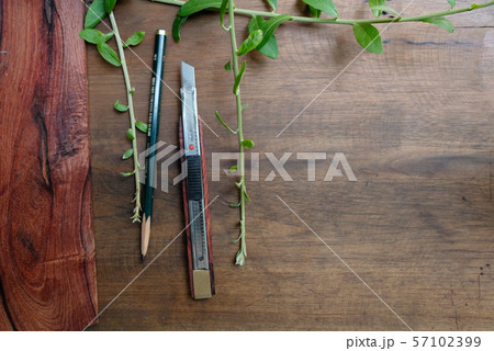 knife on wooden table knife on wooden table 57102399