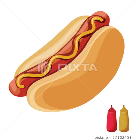 Hot dog with ketchup and mustard on top isolated on white background. 57102453