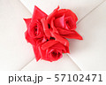 バラ 57102471