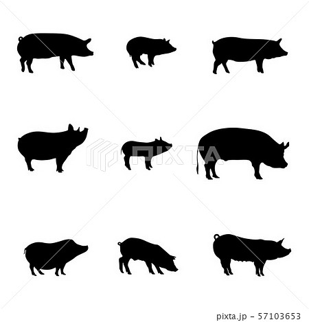 Silhouettes of Pigs. Happy New Year. Meat shop. Vector 57103653