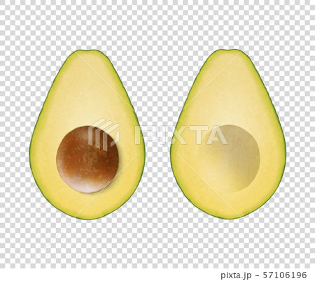 Vector 3d Realistic Cut Half Avocado with Seed Icon Set Closeup Isolated on Transparent Background Vector 3d Realistic Cut Half Avocado with Seed Icon Set Closeup Isolated on Transparent Background 57106196