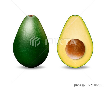 Vector 3d Realistic Whole and Half Avocado with Seed Closeup Isolated on White Background. Design 57106538