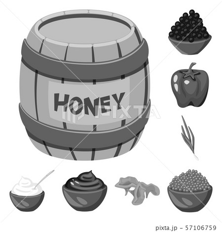 Isolated object of spices and aroma symbol. Collection of spices and product stock vector 57106759