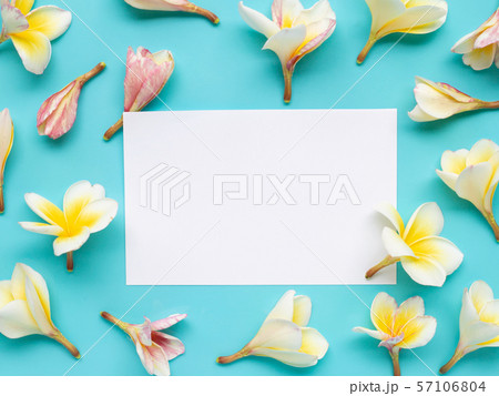 White paper surrounded with Plumeria or frangipani White paper surrounded with Plumeria or frangipani 57106804