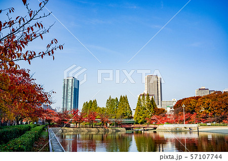 秋の毛馬桜之宮公園 秋の毛馬桜之宮公園 57107744