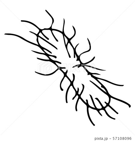 Outline microbe vector icon. Isolated black simple Outline microbe vector icon. Isolated black simple 57108096