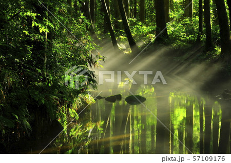 夏の牛渡川 57109176