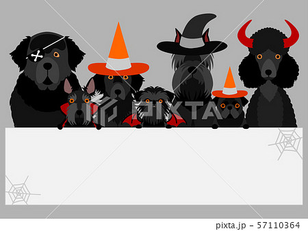 ハロウィン　犬　ホワイトボード 57110364