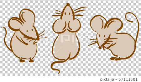 ネズミ イラスト ネズミ イラスト 57111501