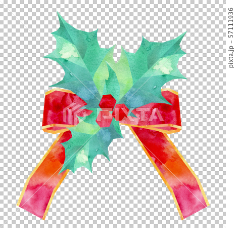 冬青插圖1 冬青插圖1 57111936