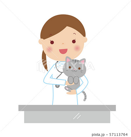 女性獣医さんに抱っこされる猫のイラストのイラスト素材