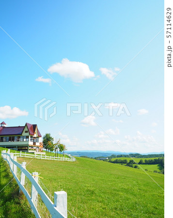 北海道の風景 牧草地 羊と雲の丘 北海道の風景 牧草地 羊と雲の丘 57114629