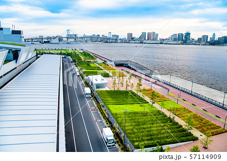 東京 豊洲市場 屋上緑化広場から見るお台場側の風景 57114909