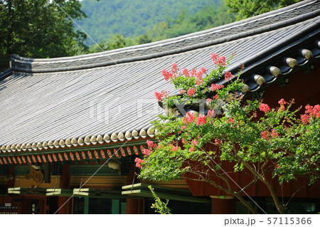 寺院 節 宗教 57115366