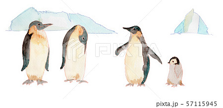 ペンギンと氷山 水彩のイラスト素材