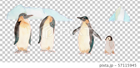 Penguin and iceberg watercolor 57115945