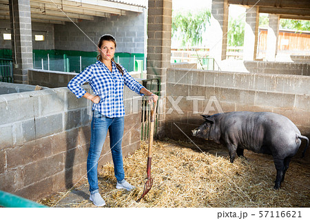 Portrait of female farmer feeding iberian pigs on farm 57116621