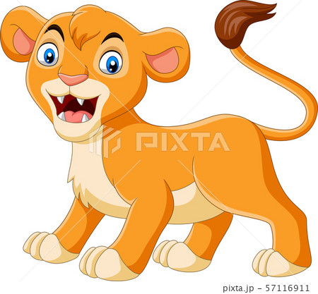 Cartoon baby lioness roaring on white background Cartoon baby lioness roaring on white background 57116911