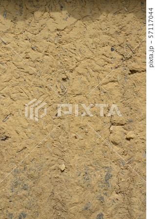 土壁の表面(唐招提寺/奈良県奈良市五条町) 土壁の表面(唐招提寺/奈良県奈良市五条町) 57117044