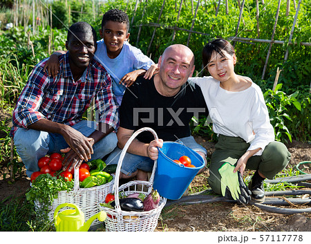 Cheerful international family with harvest of...の写真素材