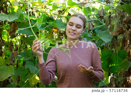 Portrait of woman farmer 57118736