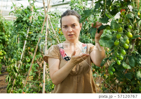 Woman working in glasshousw Woman working in glasshousw 57120767