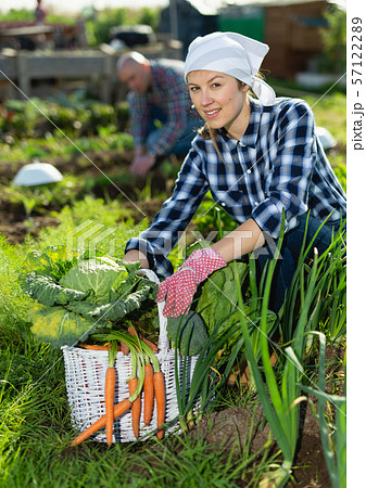 Family harvesting vegetables in the garden Family harvesting vegetables in the garden 57122289