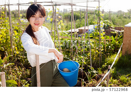 Woman holding bucket of potato Woman holding bucket of potato 57122968