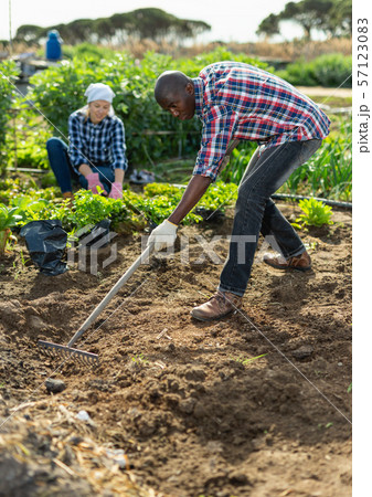 Friendly family works on garden beds Friendly family works on garden beds 57123083
