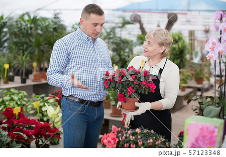 Adult woman is helping to man with choice of blooming flower Adult woman is helping to man with choice of blooming flower 57123348
