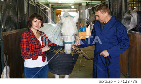 Workers feeding roan horse Workers feeding roan horse 57123778