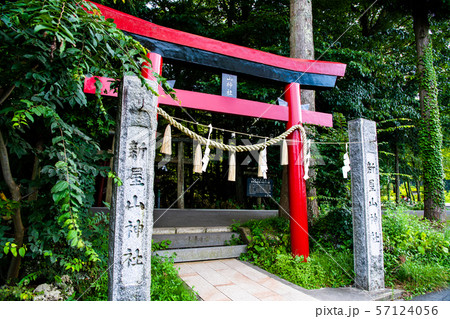 山梨県富士吉田市 新屋山神社 鳥居 山梨県富士吉田市 新屋山神社 鳥居 57124056