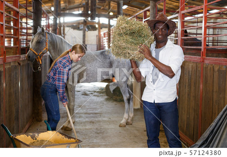 Couple of farmers working at stable Couple of farmers working at stable 57124380