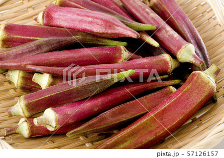 赤オクラ 赤オクラ 57126157