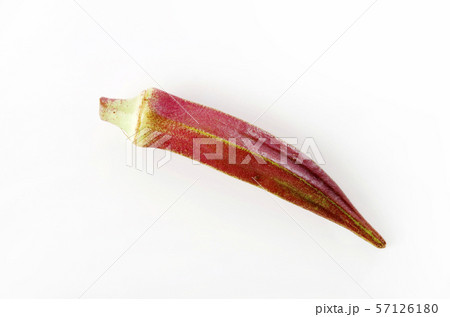 赤オクラ 57126180