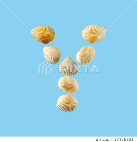 Letter "y" composed from seashells, isolated on gentle blue background 57126232
