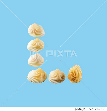 Letter "l" composed from seashells, isolated on gentle blue background Letter "l" composed from seashells, isolated on gentle blue background 57126235