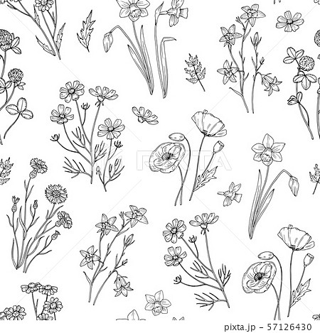 Wild flower pattern. Floral seamless wallpaper with wildflowers. Vintage fabric vector background 57126430