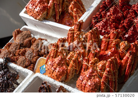 北海道　函館朝市　タラバガニ 57130020