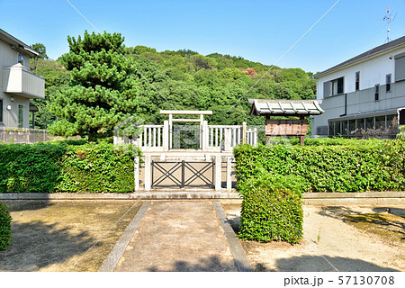 大阪府羽曳野市　ヤマトタケル　白鳥陵古墳 57130708