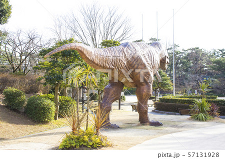 恐竜 ティラノサウルス 恐竜 ティラノサウルス 57131928