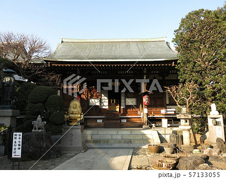 田端の東覚寺（谷中七福神巡り開催期間） 57133055