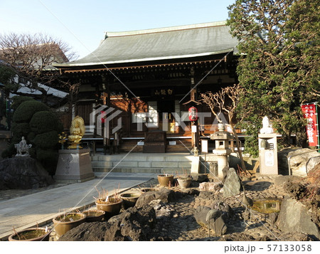 田端の東覚寺（谷中七福神巡り開催期間） 57133058