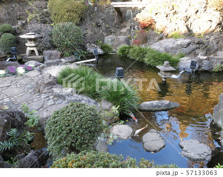 田端の東覚寺にある本堂裏の庭園（谷中七福神巡り開催期間） 57133063