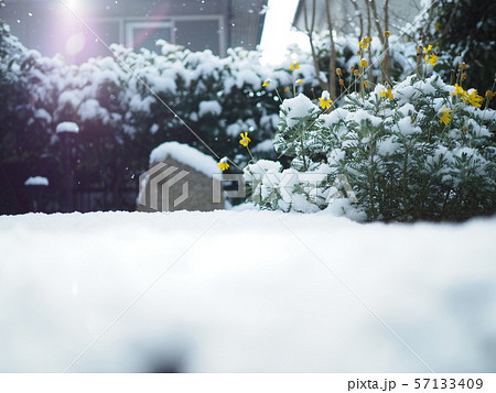 雪の世界 57133409