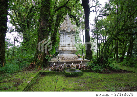 タイ  チェンマイ　ドイ・インタノン国立公園 57133679