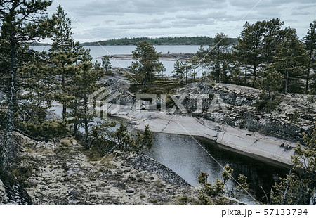 Rocky shore with pine trees. Ladoga skerries 57133794